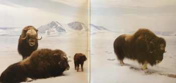 2LP Interpol: Our Love to Admire