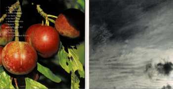 CD Ipek Gorgun: Ecce Homo