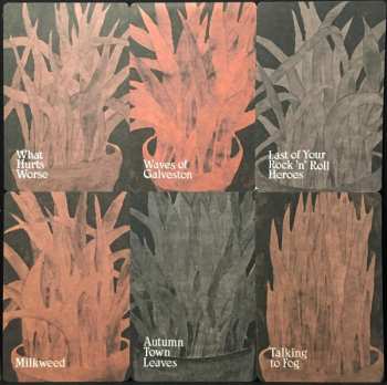 LP Iron And Wine: Weed Garden