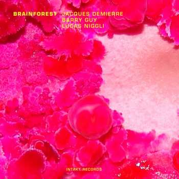 Album Lucas Niggli: Brainforest
