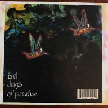 CD Jaimie Branch: Fly Or Die II: Bird Dogs Of Paradise