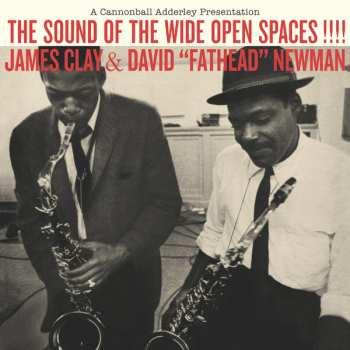 LP David "Fathead" Newman: The Sound Of The Wide Open Spaces !!!! LTD