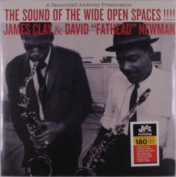 Album David "Fathead" Newman: The Sound Of The Wide Open Spaces !!!!
