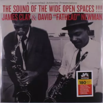 David "Fathead" Newman: The Sound Of The Wide Open Spaces !!!!