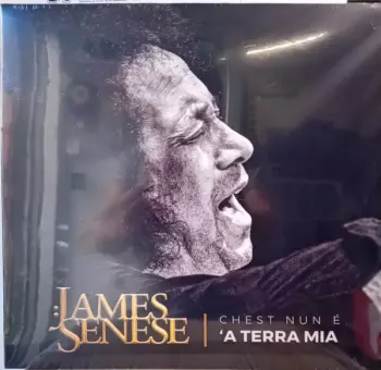 James Senese: Chest Nun è ‘a Terra Mia