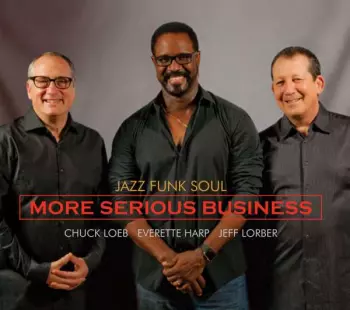 Chuck Loeb: More Serious Business