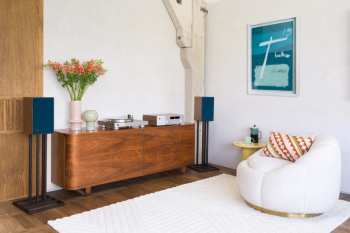 Tontechnik JBL TT350 Ořech/Stříbrná