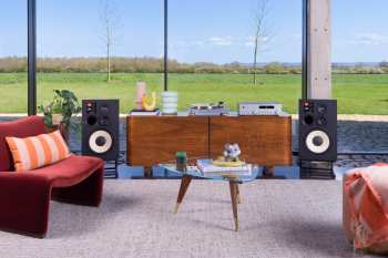 Tontechnik JBL TT350 Ořech/Stříbrná