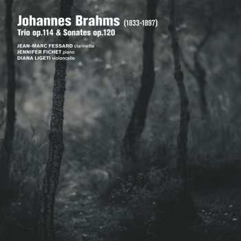 Album Jean-marc & J... Fessard: Brahms Trio Op. 114 Sonates Op. 120