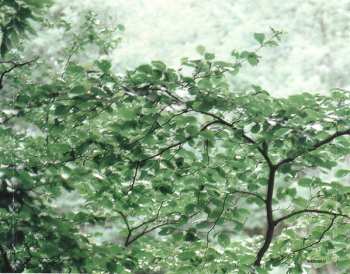 CD Jim Croce: The Lost Recordings