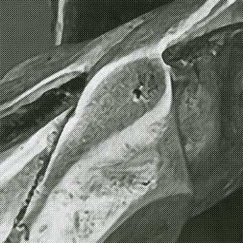 CD Jlin: Black Origami