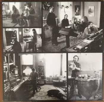 LP Joan Shelley: Ginko DLX | LTD | CLR