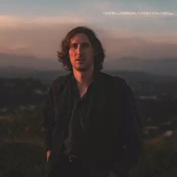 Jobson,chris: Wish You Well