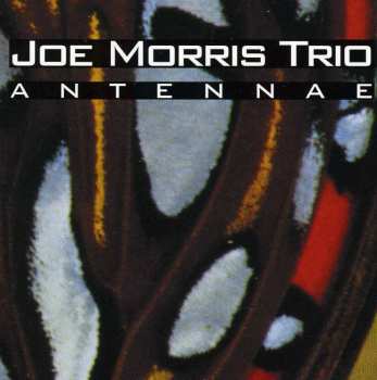 Album Joe Morris Trio: Antennae