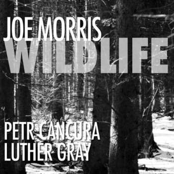 CD Joe Morris: Wildlife