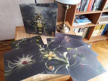 2LP Joep Beving: Conatus