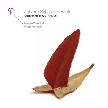 Motetten BWV 225 - 230