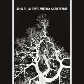 Album John Blum: Recursive Tree