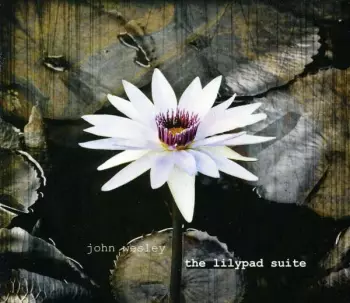 The Lilypad Suite