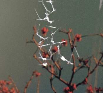 Album Jon Dale: Last Blues