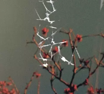 Jon Dale: Last Blues