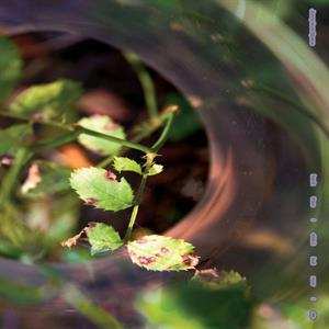 LP Jonny From Space: Back Then I Didn't But Now I Do