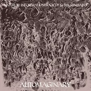 Bitchin Bajas: Automaginary