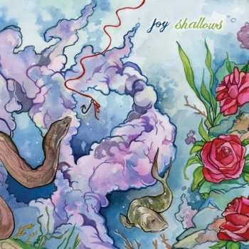 Album Joy: Shallows