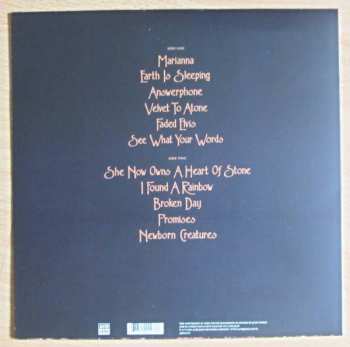 LP Judy Dyble: Earth Is Sleeping