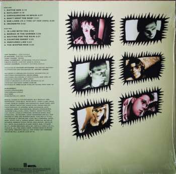 LP Judybats: Native Son LTD