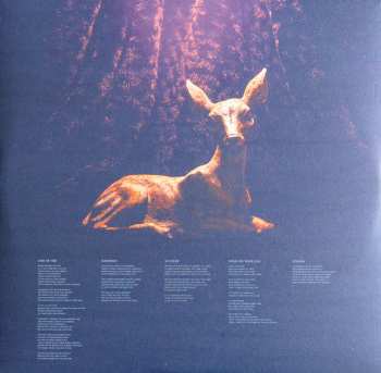 LP Junip: Junip