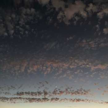 Album K. Leimer: Found Objects