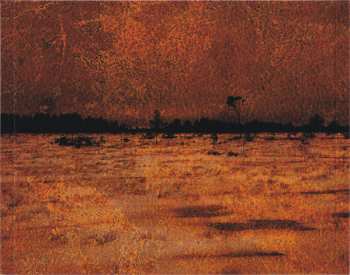 CD Kalmah: For The Revolution LTD