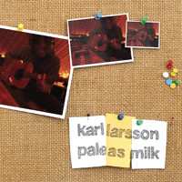 CD Karl Larsson: Pale As Milk
