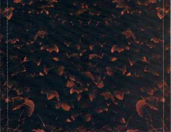 CD Kasey Chambers: Wayward Angel