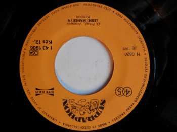 SP Katapult: Půlnoční Závodní Dráha • Lesní Manekýn