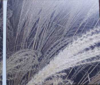 CD Katarzia: Celibát