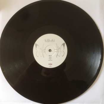 LP Kathinka: Kathinka