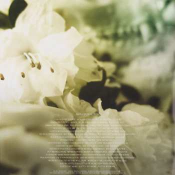 2LP Soundgarden: King Animal