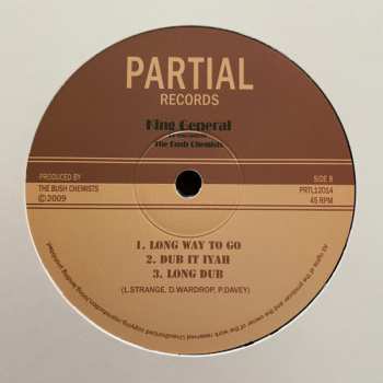 LP The Bush Chemists: Got To Be Conscious / Long Way To Go