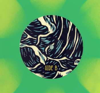 LP King Gizzard And The Lizard Wizard: Teenage Gizzard