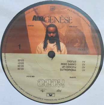 2LP Kobo: Anagenèse