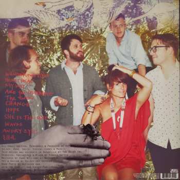 LP Kopecky Family Band: Kids Raising Kids