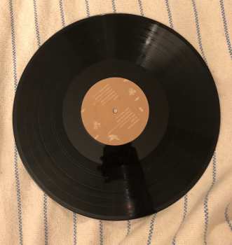 LP Kota The Friend: Everything