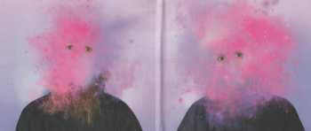 CD Kunzite: Birds Don't Fly