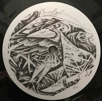 LP Kylesa: To Walk A Middle Course