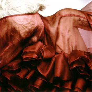 CD Lady Gaga: The Fame Monster