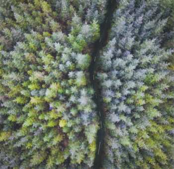 CD Ladytron: Ladytron