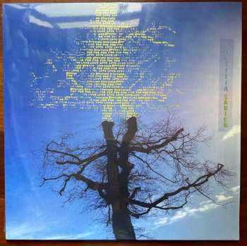 LP Laetitia Sadier: Rooting For Love