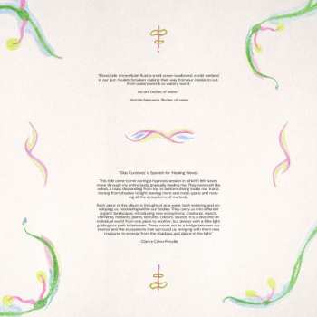 LP Lamina: Olas Curativas